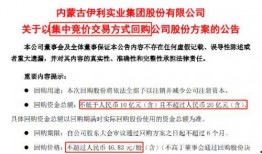 伊利最新爆料信息图片,揭秘乳业巨头背后的创新与挑战”