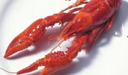 成都小龙虾爆料视频最新,口味升级，火爆街头！