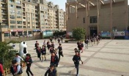 开封小学爆料事件最新情况,最新进展及各方回应揭晓