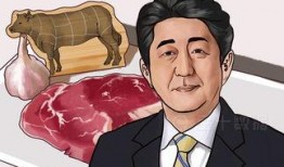 日本爆料美国最新,日本曝光美国最新动态，科技竞争再升级！