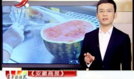 晨光最新爆料新闻视频,揭秘神秘事件背后真相